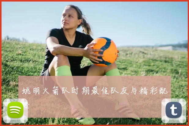 姚明火箭队时期最佳队友与精彩配合