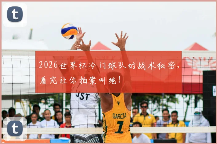 2026世界杯冷门球队的战术秘密,看完让你拍案叫绝!