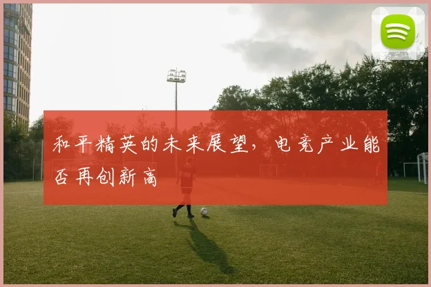 和平精英的未来展望，电竞产业能否再创新高